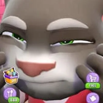 Talking Tom Cat screenshot 2